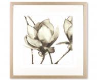 Watercolour Magnolia I Art Print Framed