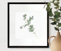 Kendale I Eucalyptus Botanical Print - Framed