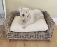 Cane Dog Bed Small with Cushion