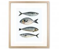 Four Fish II Art Print Framed