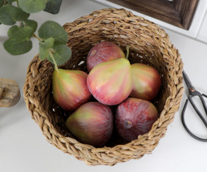 Set 3 Sicilian Blush Figs