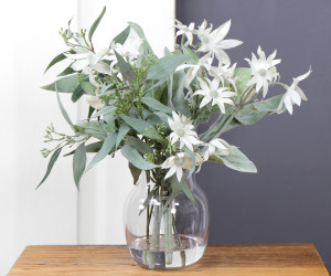 Blackheath Flannel Flower Vase Arrangement