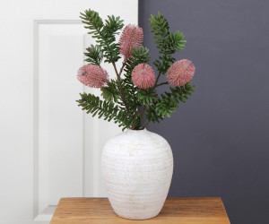 Set 2 Bancroft Pink Banksia Flower Stems