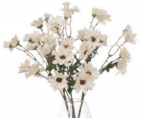 Set 3 Blush Daisy Flower Stems