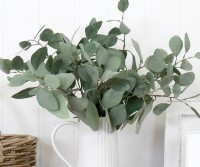 Set 3 Berrima Eucalyptus Stems - Silver Dollar