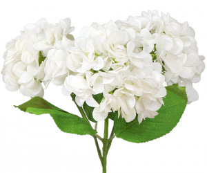 Set 3 White Hydrangea Stems