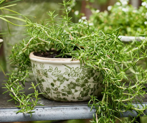 Small Linford Green Floral Wide Planter