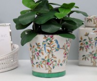 Gainsborough Floral Planter Pot - Medium