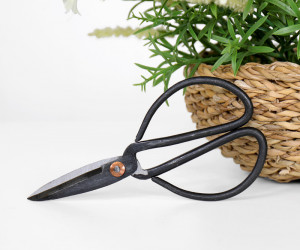 French Scissors - Medium