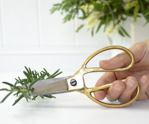 Medium Gold Handle Scissors - Kitchen or Bonsai Scissors