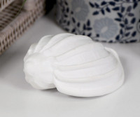 Coogee White Sea Shell